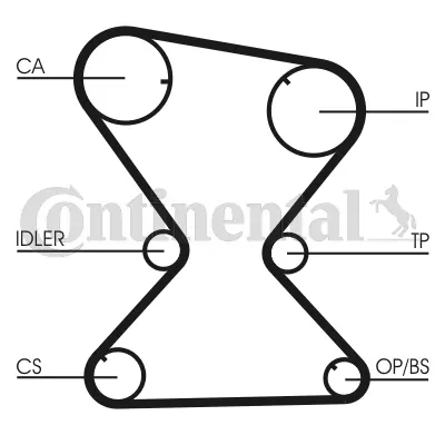 Timing Belt
